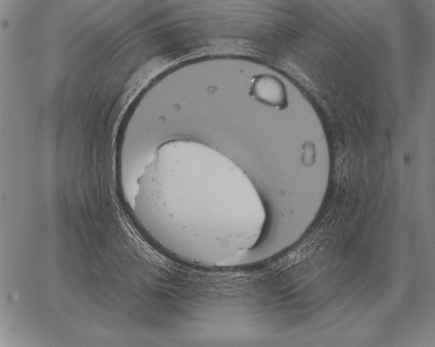 X0000067350836200604131748