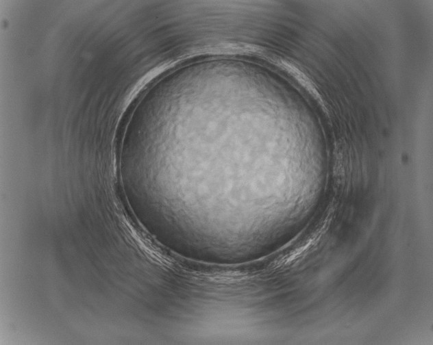 X0000067350837200604131748