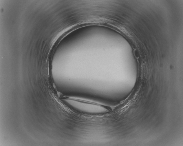 X0000067350838200604131748