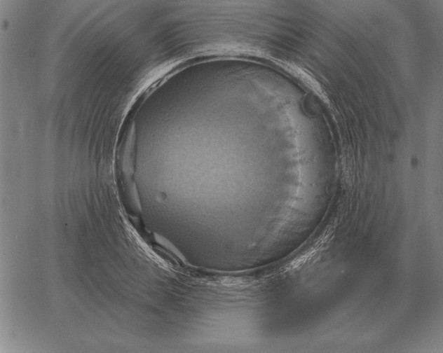 X0000067350839200604131748