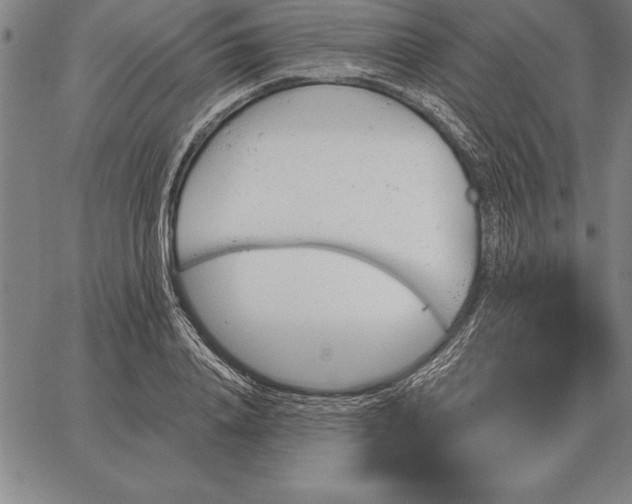 X0000067350840200604131748