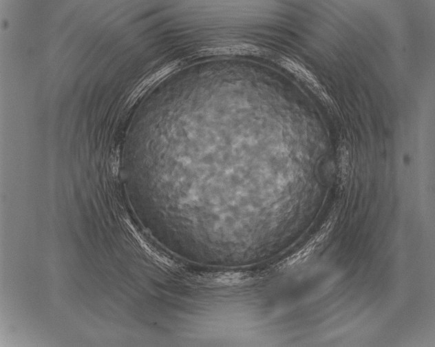 X0000067350841200604131748