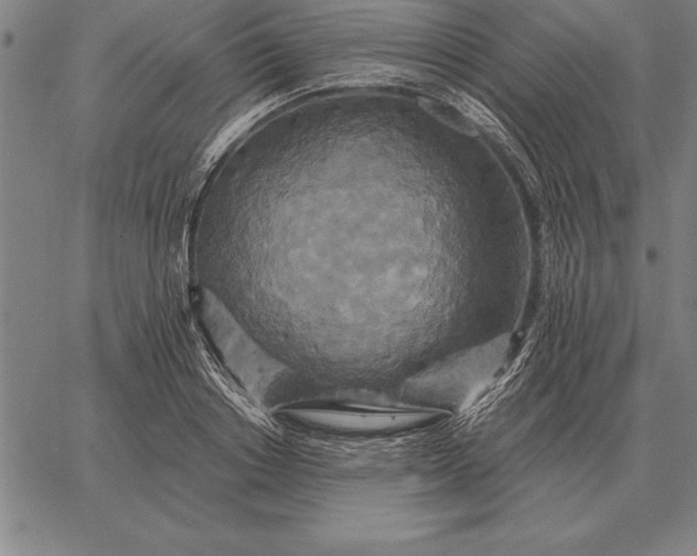 X0000067350842200604131749