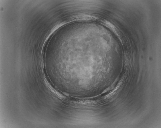 X0000067350843200604131749