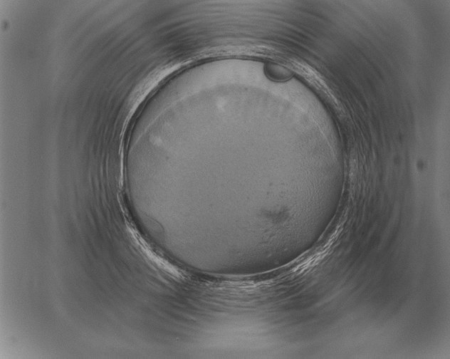 X0000067350844200604131749