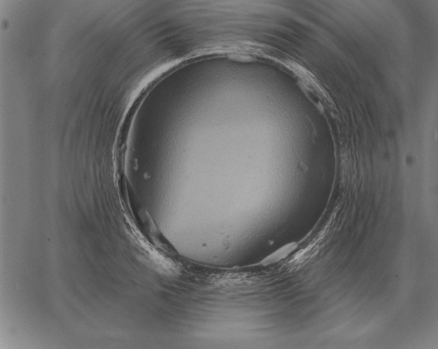 X0000067350846200604131749