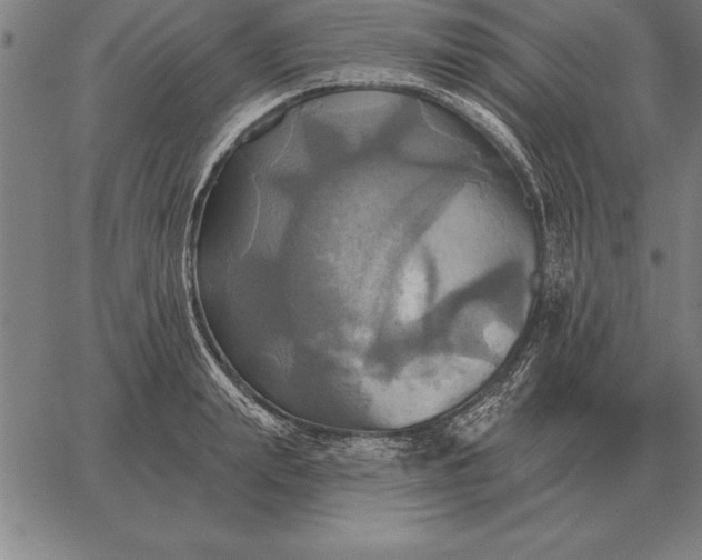 X0000067350847200604131749