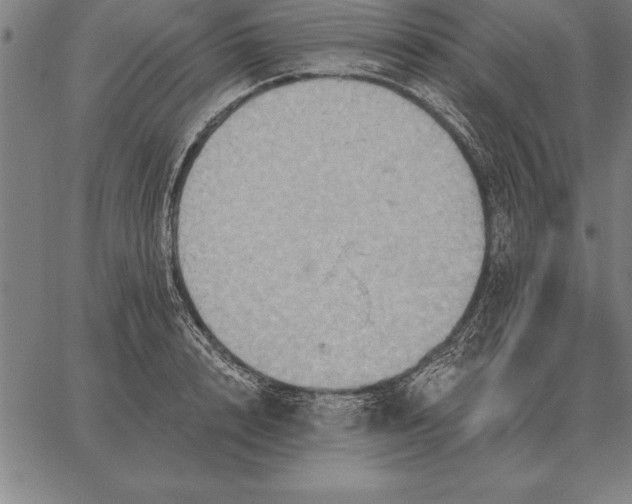 X0000067350848200604131749