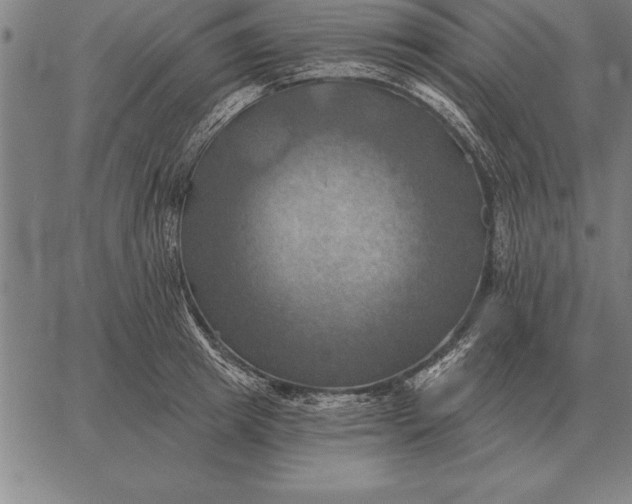 X0000067350849200604131749