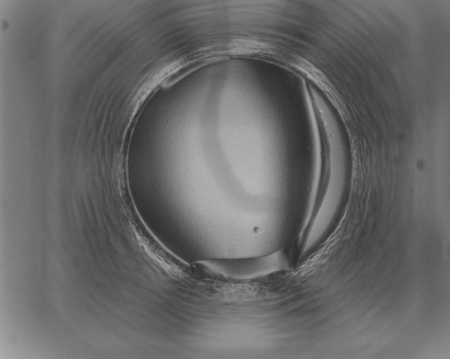 X0000067350850200604131749