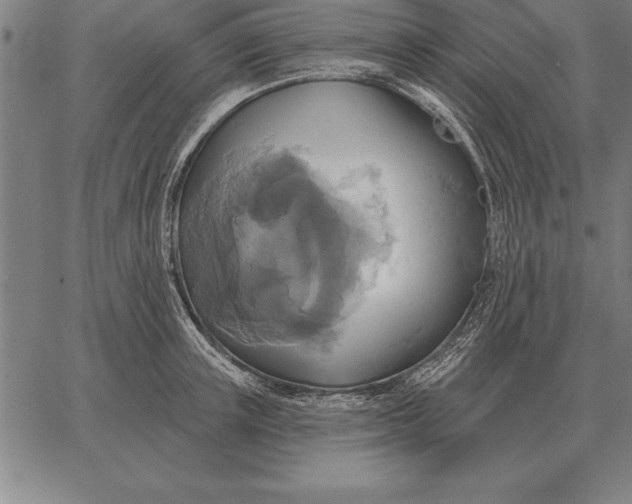 X0000067350851200604131749