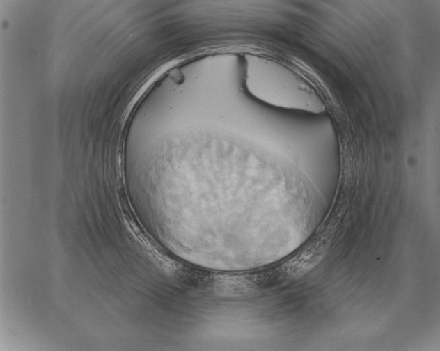 X0000067350852200604131749