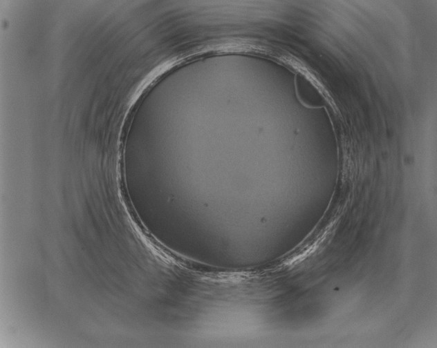 X0000067350853200604131749