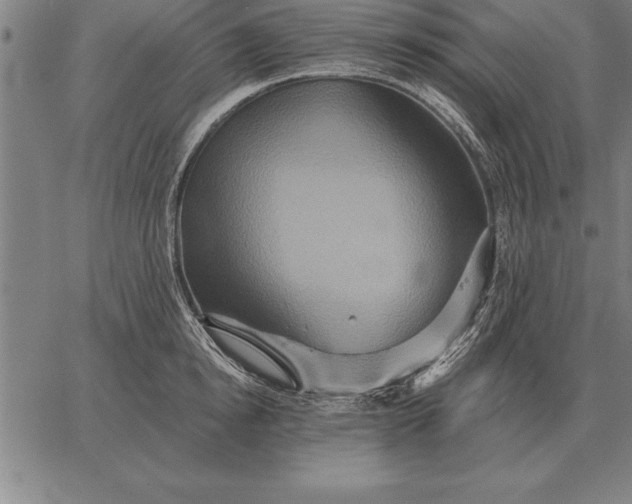 X0000067350854200604131749