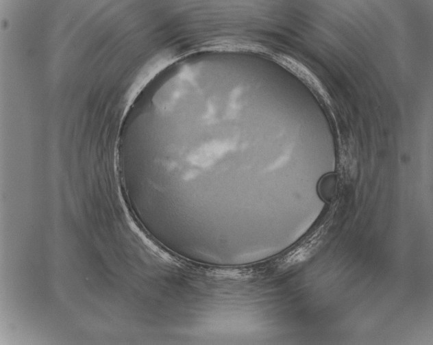 X0000067350855200604131749