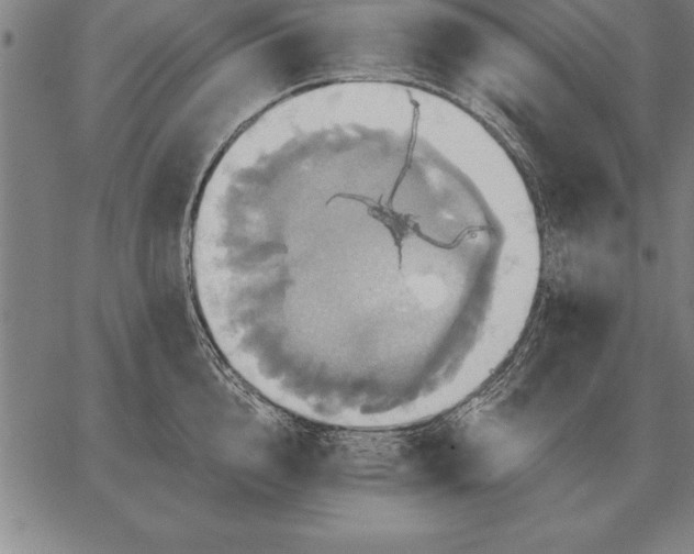 X0000067350856200604131749