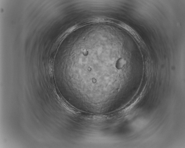 X0000067350857200604131749