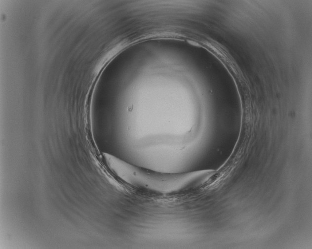 X0000067350858200604131749