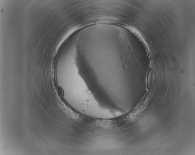 X0000067350859200604131749