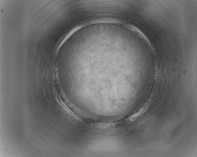 X0000067350860200604131749