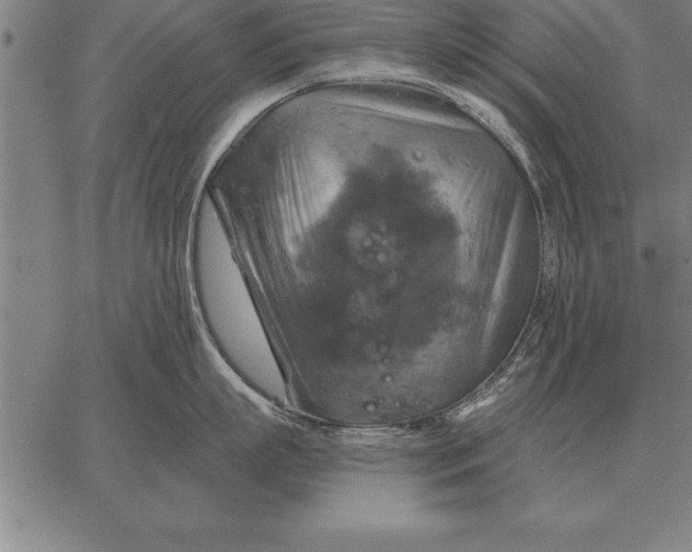 X0000067350863200604131749