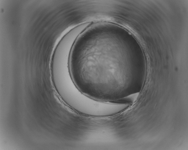 X0000067350864200604131749