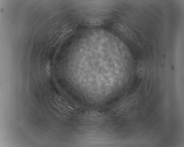 X0000067350866200604131748