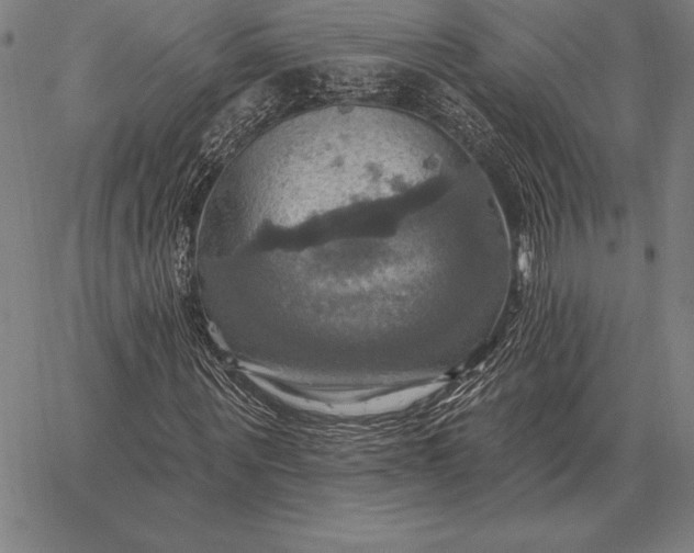 X0000067350867200604131748