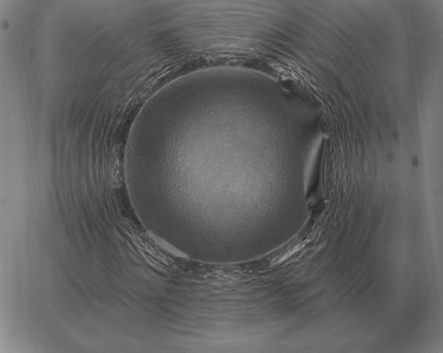 X0000067350868200604131748