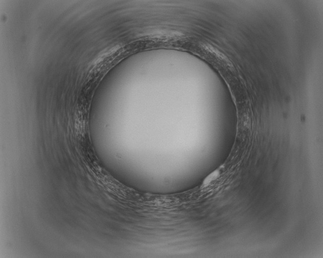 X0000067350869200604131748