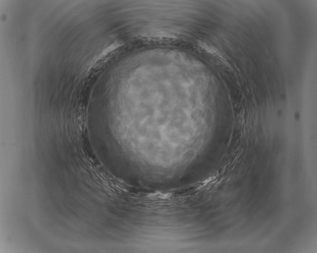 X0000067350870200604131748