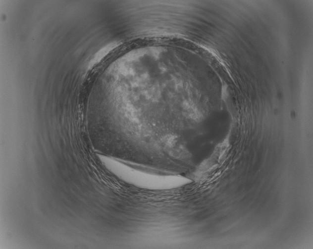 X0000067350871200604131748