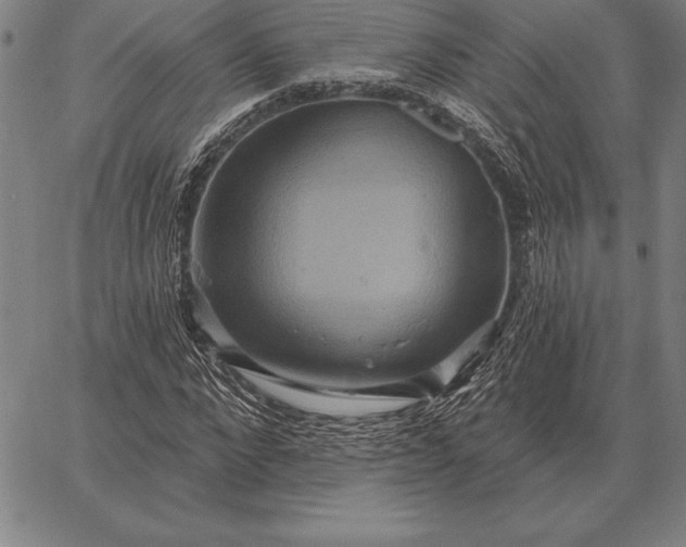 X0000067350872200604131748