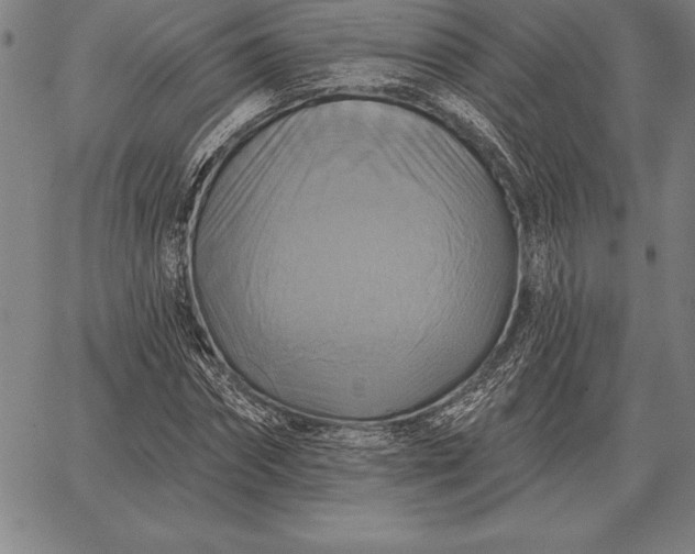 X0000067350874200604131748