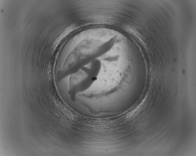 X0000067350875200604131748