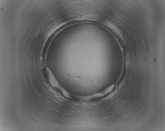 X0000067350876200604131748