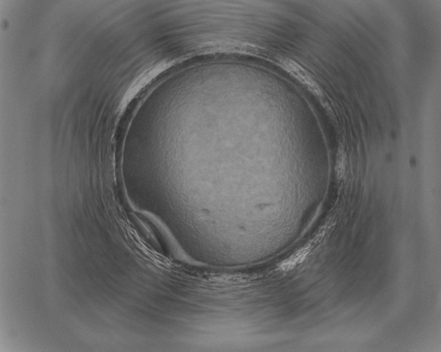 X0000067350877200604131748