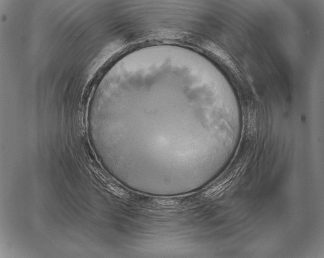 X0000067350878200604131748