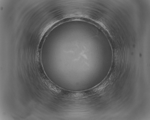 X0000067350879200604131748