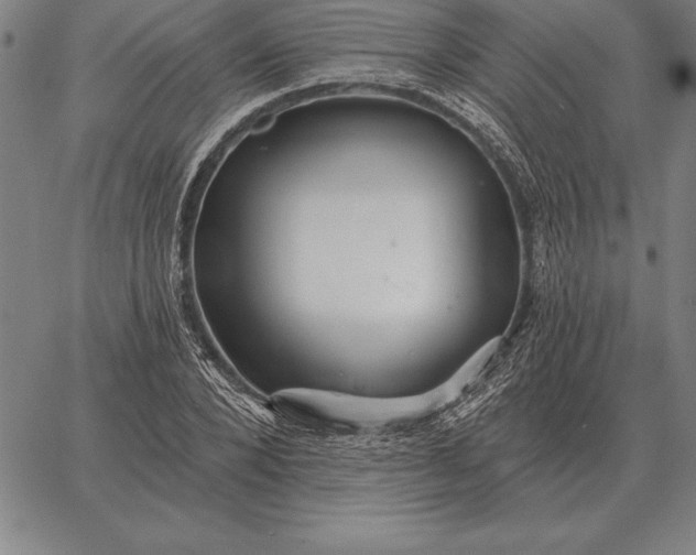 X0000067350880200604131748