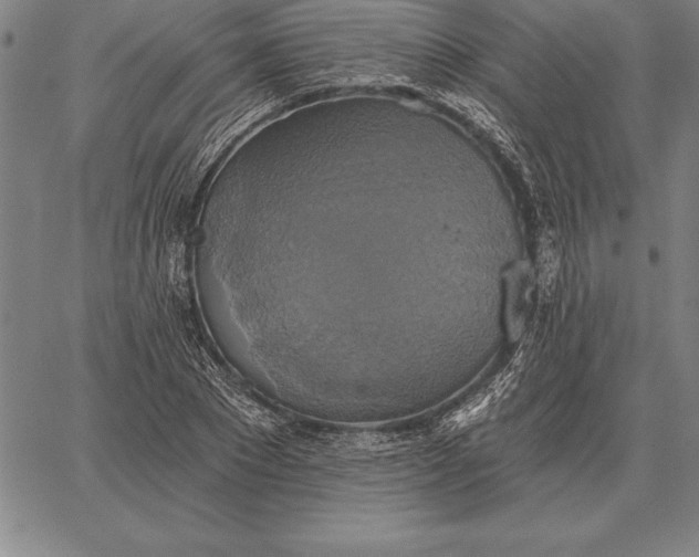 X0000067350881200604131748