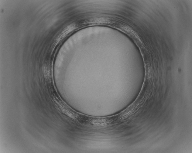 X0000067350882200604131748