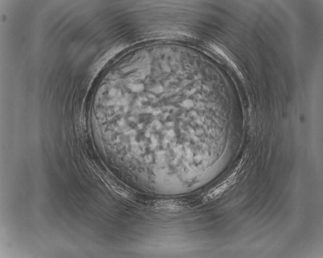 X0000067350883200604131748