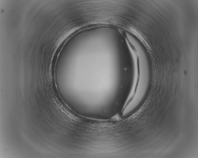 X0000067350884200604131748