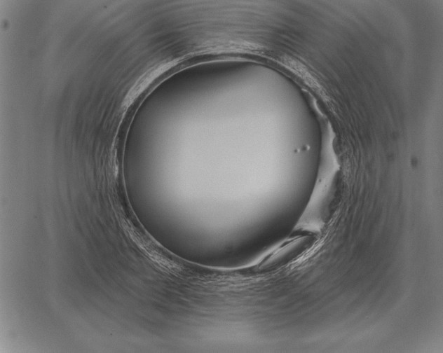 X0000067350885200604131748