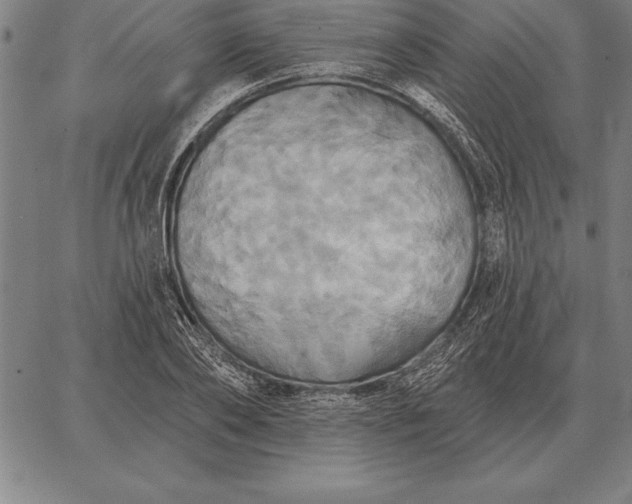 X0000067350886200604131748