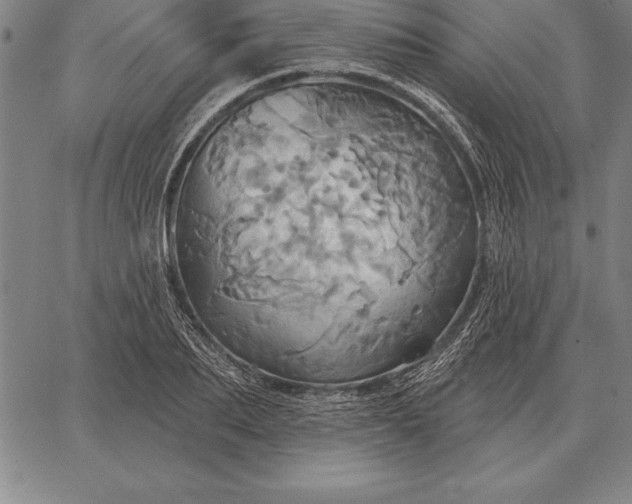 X0000067350887200604131748