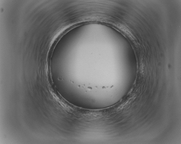 X0000067350888200604131748