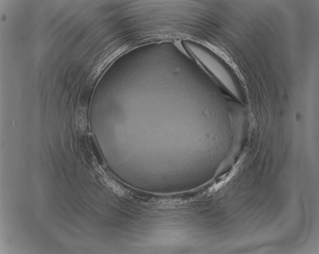 X0000067350889200604131748