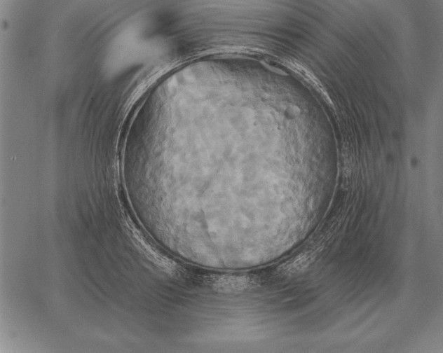 X0000067350890200604131748